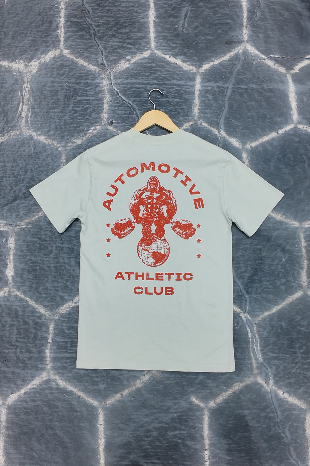 Monkey vs 24 Cylinders